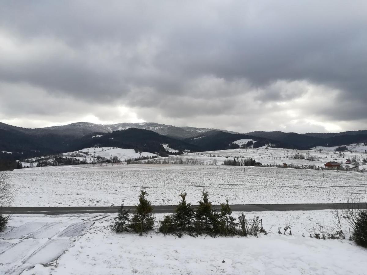 Domki Na Widoku Lubomierz  Buitenkant foto
