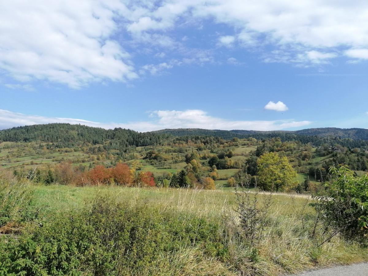 Domki Na Widoku Lubomierz  Buitenkant foto
