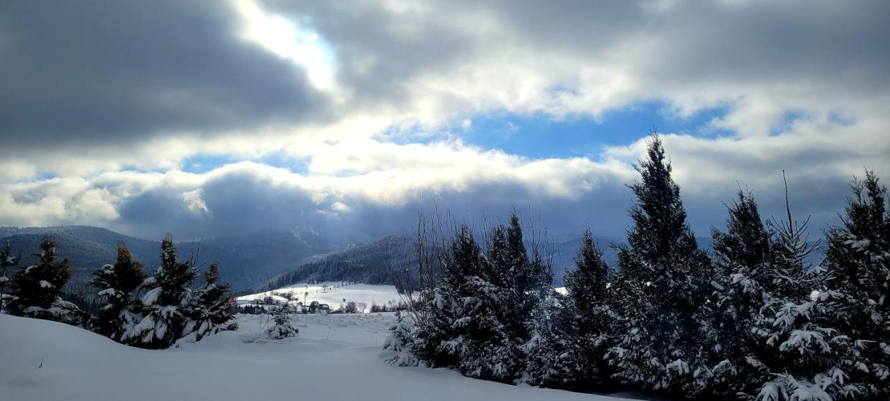 Domki Na Widoku Lubomierz  Buitenkant foto