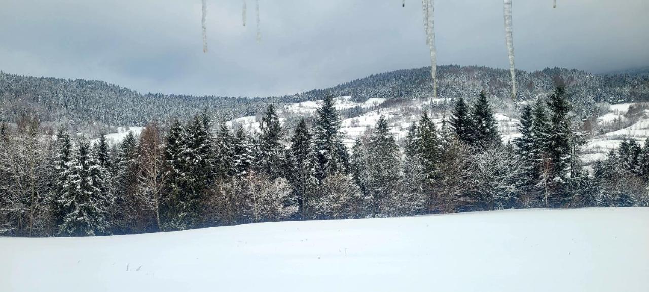 Domki Na Widoku Lubomierz  Buitenkant foto