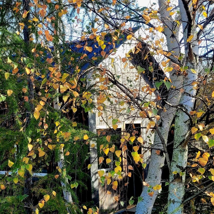 Domki Na Widoku Lubomierz  Buitenkant foto