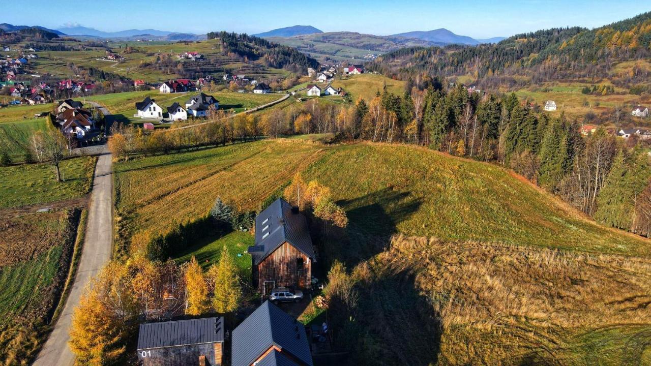 Domki Na Widoku Lubomierz  Buitenkant foto