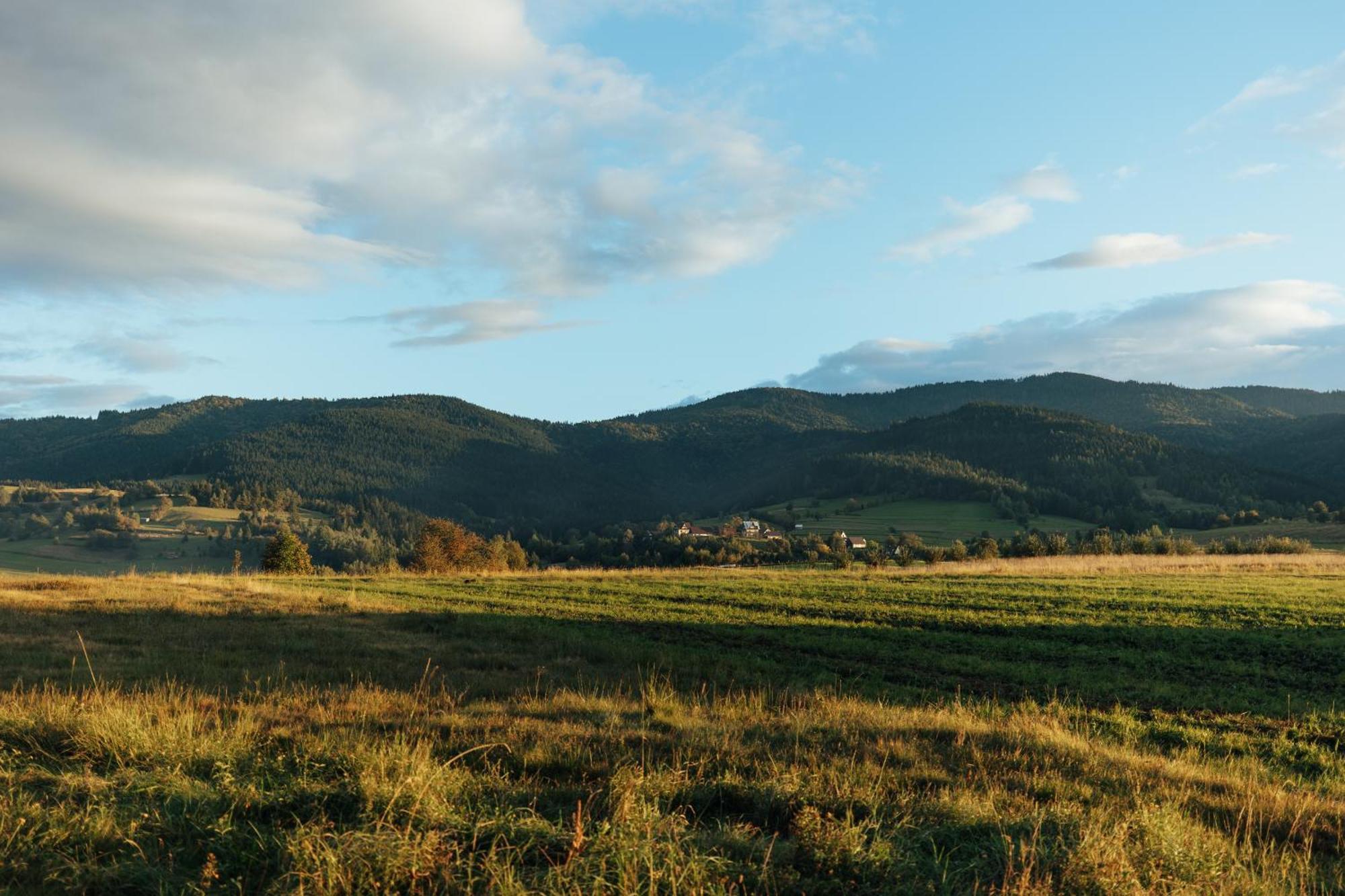 Domki Na Widoku Lubomierz  Buitenkant foto